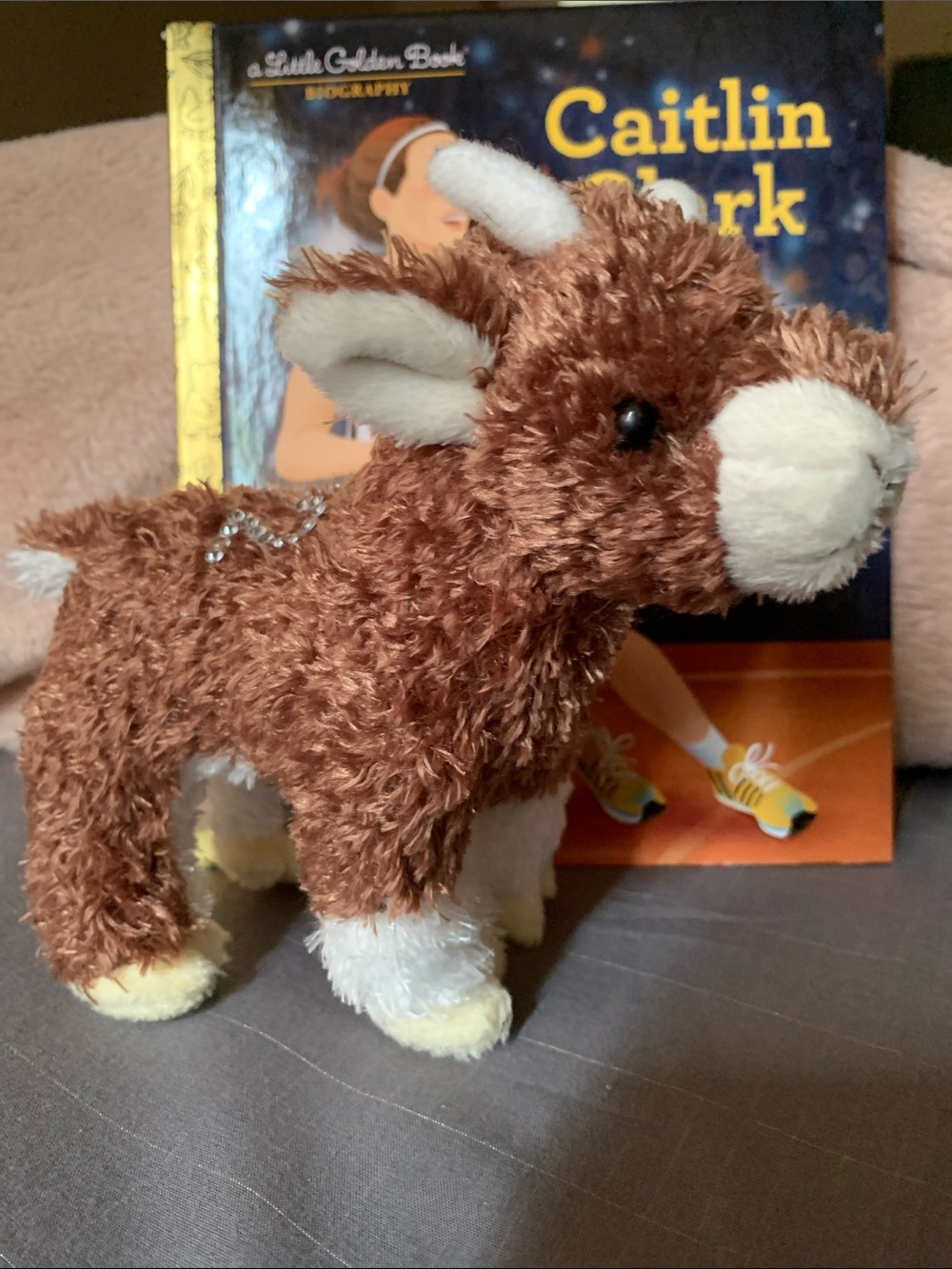 Caitlin Clark - Little Golden Book. Blue & Gold Basketball Kids Bio + GOAT + 22